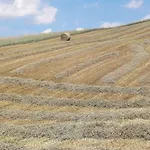 Farm stay Il Colore Del Grano *