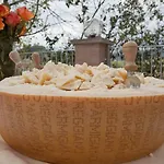 Il Colore Del Grano Farm stay