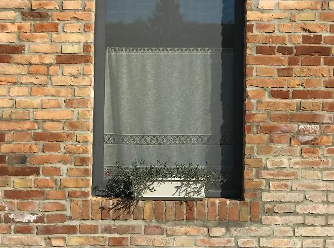 Il Colore Del Grano Séjour à la ferme *