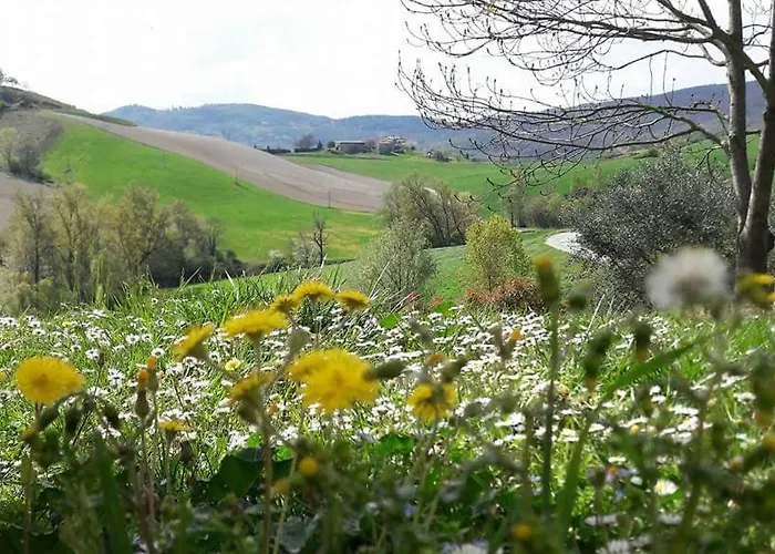 Il Colore Del Grano Séjour à la ferme *