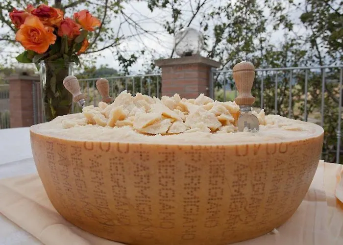 Il Colore Del Grano Séjour à la ferme