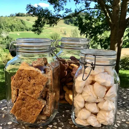 Il Colore Del Grano *