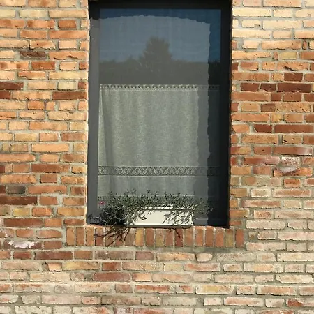 Il Colore Del Grano ファームステイ *