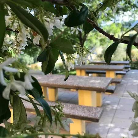 ファームステイ Il Colore Del Grano San Vittore