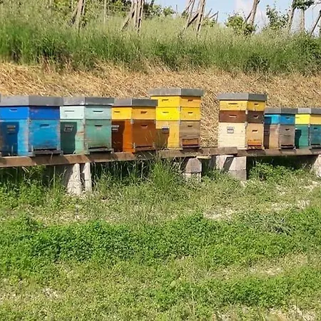 Il Colore Del Grano * San Vittore (Emilia-Romagna)