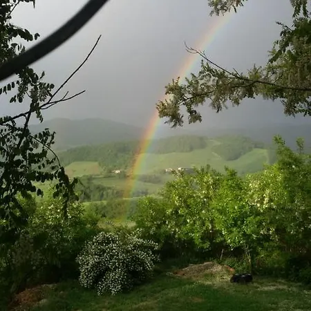 Farm stay Il Colore Del Grano