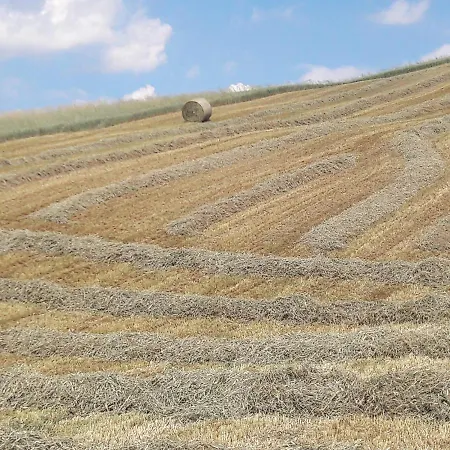 Farm stay Il Colore Del Grano *