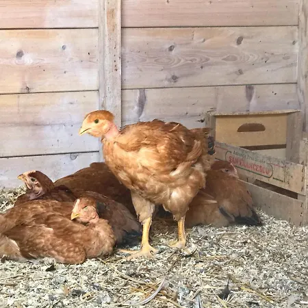 ファームステイ Il Colore Del Grano San Vittore