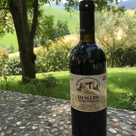 Il Colore Del Grano ファームステイ San Vittore