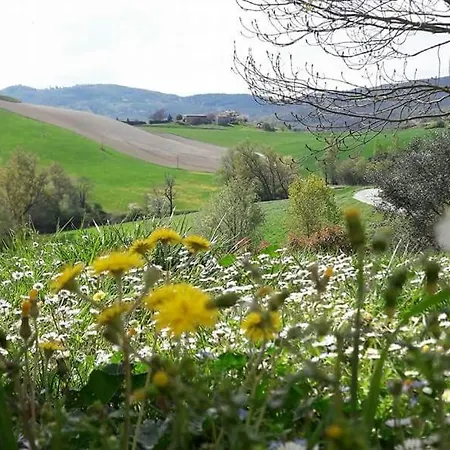 Il Colore Del Grano Фермерский дом *