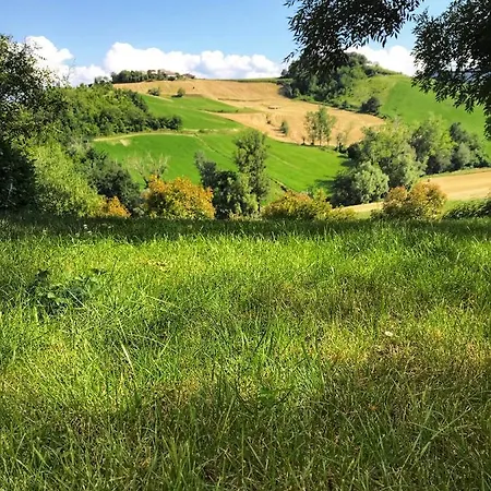 Vakantieboerderij Il Colore Del Grano