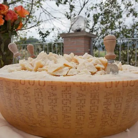 Il Colore Del Grano Farm stay
