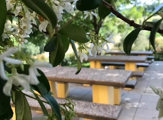 Κατάλυμα σε φάρμα Il Colore Del Grano San Vittore (Emilia-Romagna)