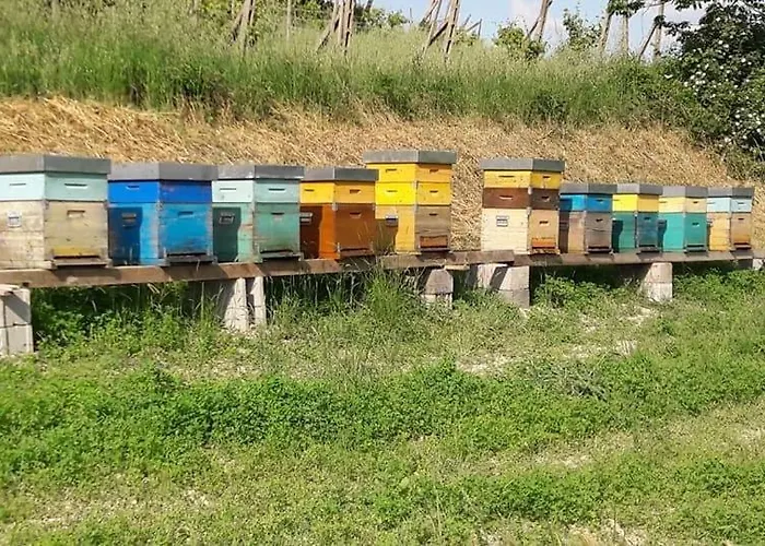 Il Colore Del Grano * San Vittore (Emilia-Romagna)