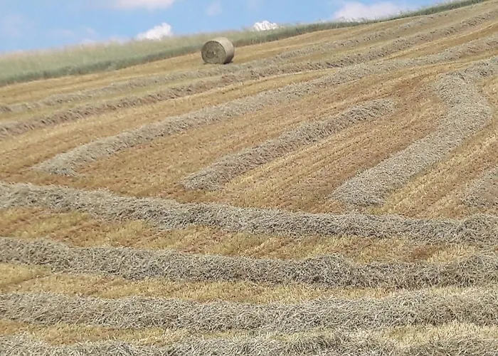 Lantgård Il Colore Del Grano *